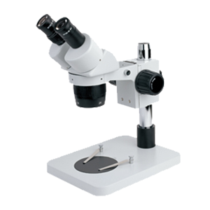 Stereo Microscope